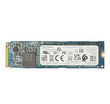 KIOXIA XG6 512GB M.2 NVMe Internal SSD KXG60ZNV512G Blue XG6