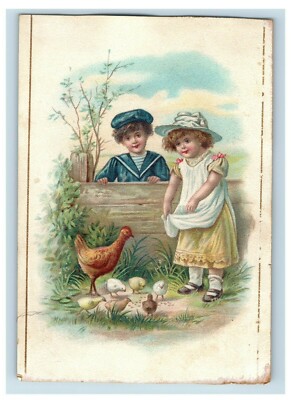 1870's-80's Bussing & Graef's Shredded Cocoanut Jersey City Trade Card 4 F30
