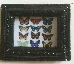 butterfly dolls house