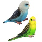 Bild 9 von 12