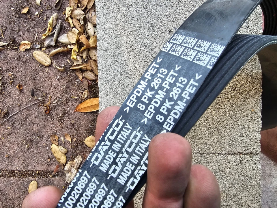 Подлинный синий птица (Dayco) 10020697 / 8PK2613 змеевик ремень сделано в Италии - новый - Изображение 4 из 4