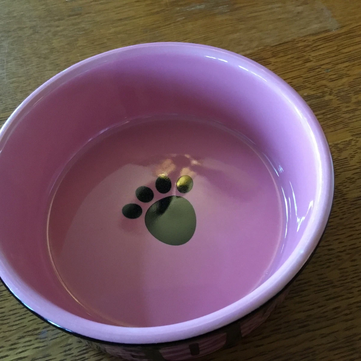 Whisker city cat dish top