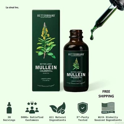 Mullein Drops Mullein Leaf Extract with Chlorophyll for Res and Lung Free Ship