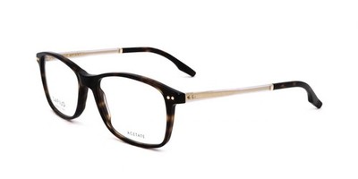 Safilo TRATTO 01 Havana crystal 55/17/145 Herren Brillen