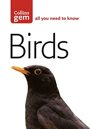 Birds (Collins Gem) By Jim Flegg - Image 3