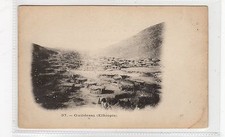 GUILDESSA: Ethiopia postcard (C26864)
