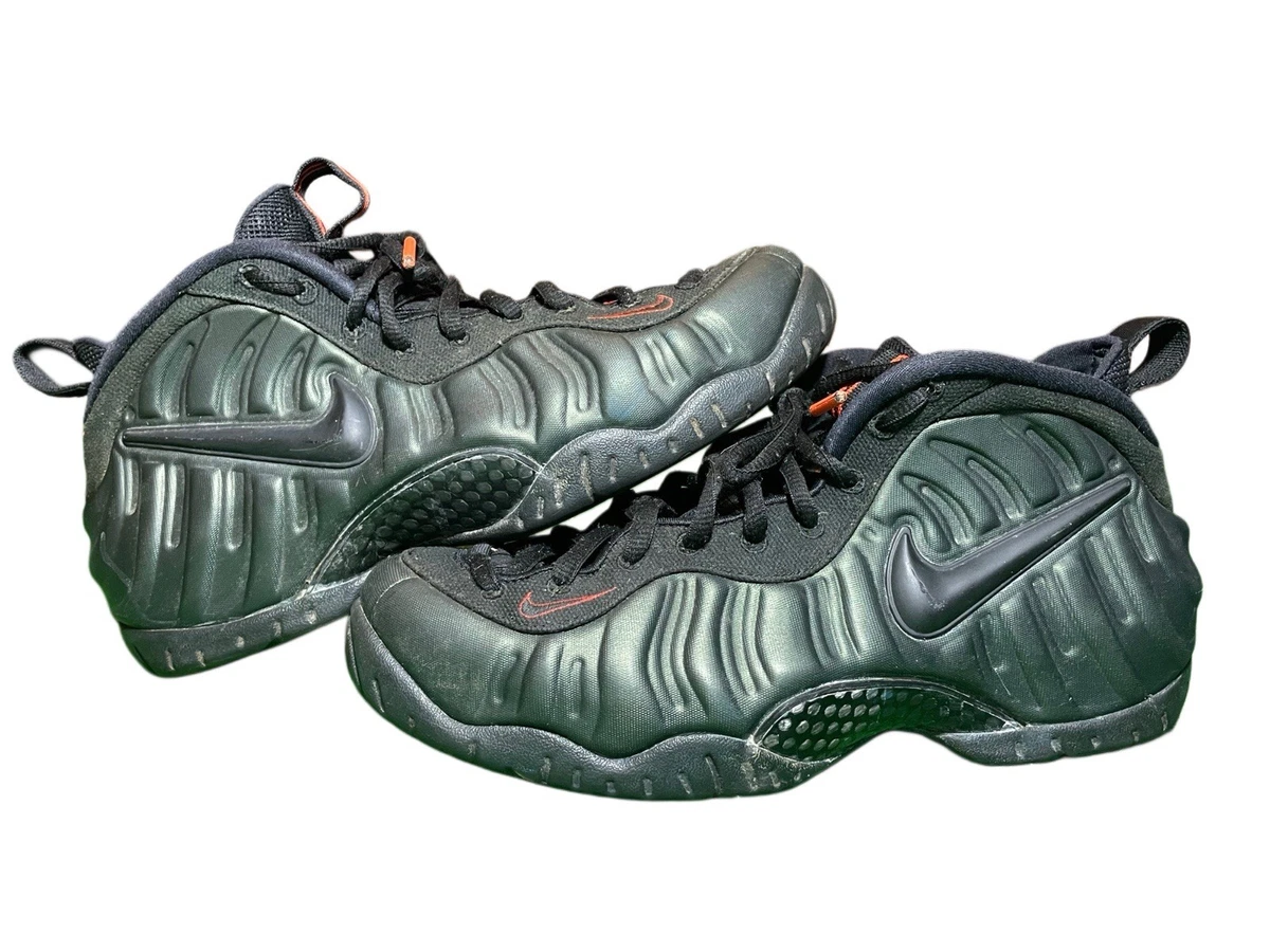 Nike Air Foamposite Pro Sequoia | eBay