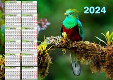 calendrier 2026 oiseau poster affiche plastifiée 30x40 cm réf 238