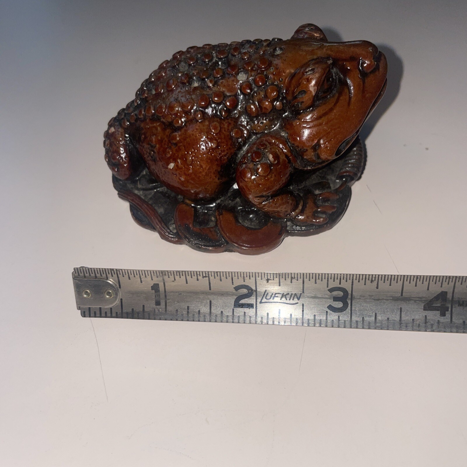 Foto 5 di 6
