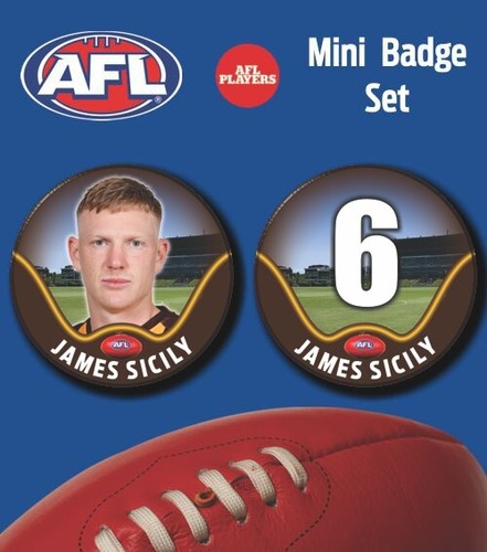 2023 AFL Hawthorn Football Club - SICILY, James - Picture 7 of 12