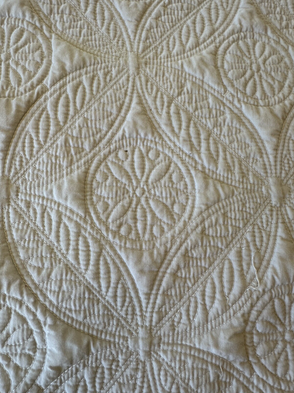 Picture 21 of 24