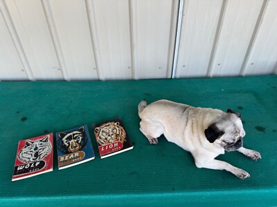 3 Vintage 1950's Wolf - Bear - Lion Cub Scout Hand Books