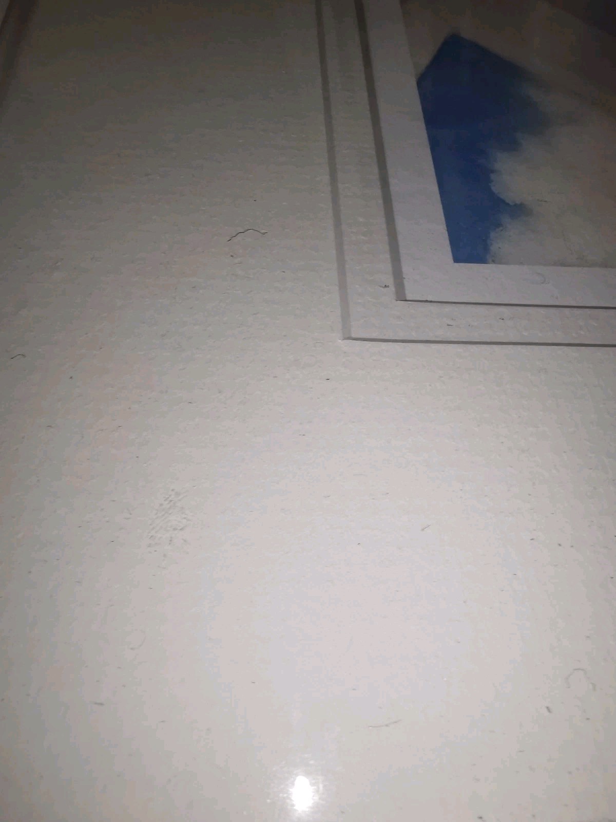 Picture 7 of 10