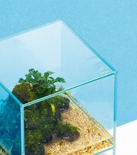 ADA DOOA Aqua Design Amano Neo Glass Air Dedicated Glass Lid 300�300 (mm)
