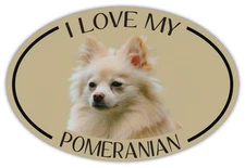 Oval Dog Breed Picture Car Magnet - I Love My Pomeranian - Bumper Sticker Decal