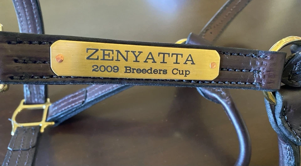 Zenyatta с бретелью через шею Майк Смит автограф новый полный размер 2009 Breeders Cup - Изображение 3 из 4