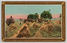 Postcard Men In Hay Field "Harvest Time" Posted 1910