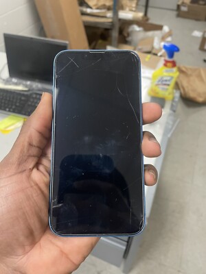 iPhone 13