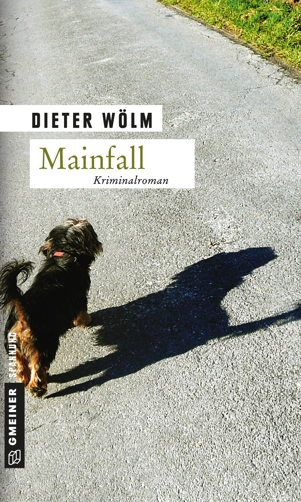 Thumbnail - Mainfall, Dieter Wölm