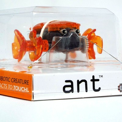Hexbug Ant Micro Robotic Creatures Bug Ant Orange - NEW 807648013634 | eBay