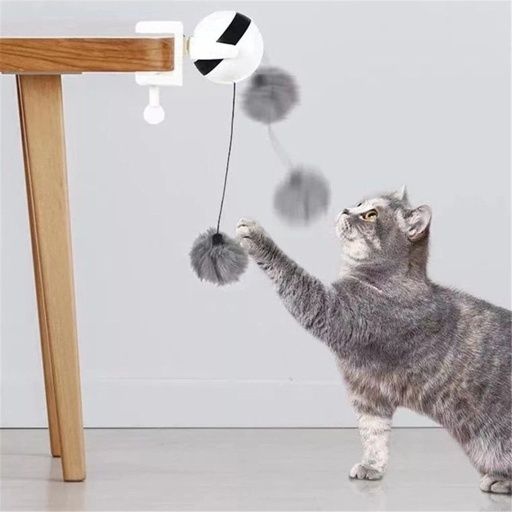 Electronic motion top cat toy