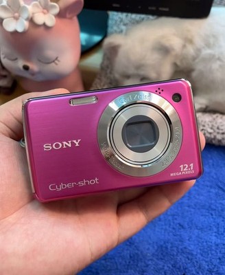 SONY Cyber-Shot DSC-W220 12.1 MP 4x Optical Zoom Digital Camera