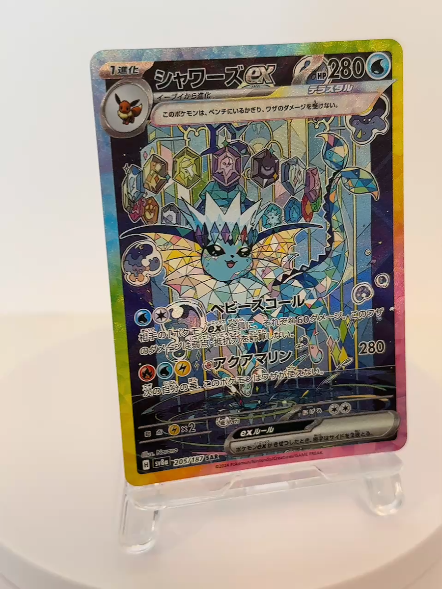 Pokémon Japan Champions Shipスタッフパス 2枚セット Pokémon Japan Champions Shipスタッフパス 2枚セット