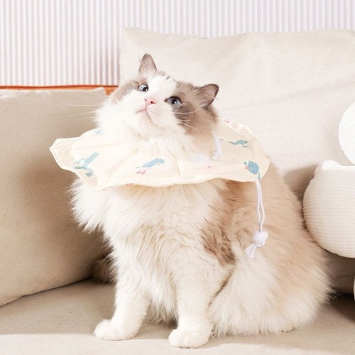 Adjustable Cat Protection Collar Pet Cone Collar for Cats Kitten - Picture 4 of 13