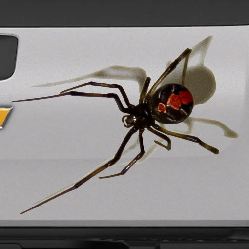 Ocean Gift Calcomanías De Araña Para Automóvil, Calcomanías De Pared, Paquete De 2 Calcomanías Realistas Para Automóvil, Serie De Diseño 6, Tamaño 12 X 12 Pulgadas