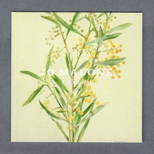 Carte publicitaire -Mimosa & Cardamom de Jo Malone recto verso française