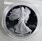 1995 P Silver American Eagle One Proof Dollar Coin with Box and COA $1 US Coin