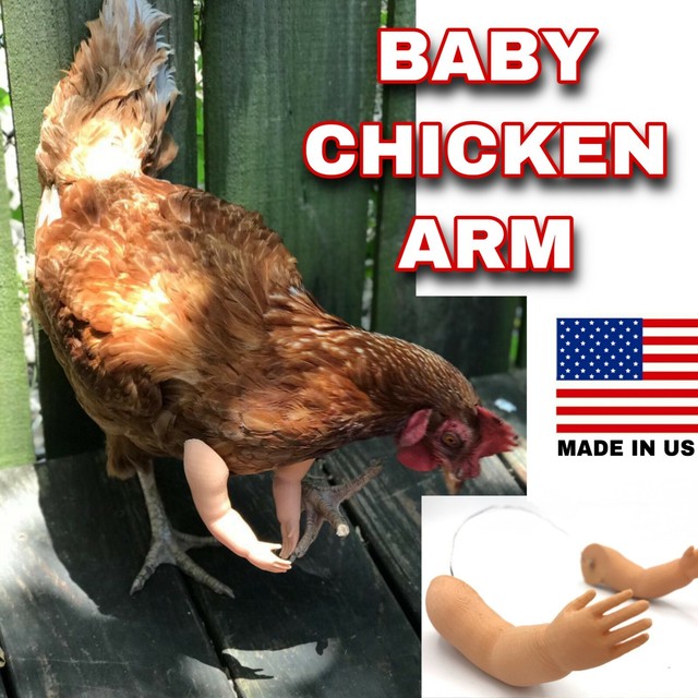 Chicken Baby Arm Meme 3D Printed Chicken Arm Doll Facebook ...