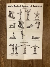 Rare Original Vintage York Barbell System of Training weight lifter promo poster