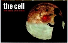 1960 Upjohn Company - The Cel 3-Panel Advertising Information Brochure K4