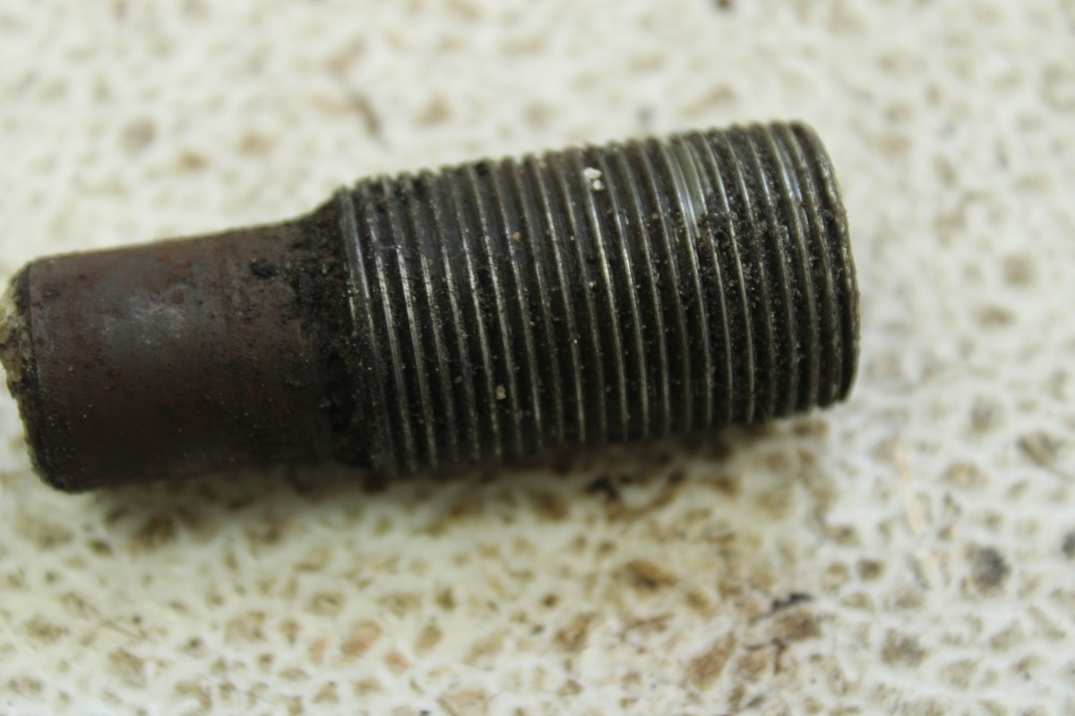タケハルWT250 71cBIgsP1FL._UF894,1000_QL80_.jpg