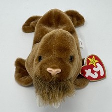 PAUL the Walrus Ty Original Beanie Baby - RARE with Hang Tags  Tush Tags