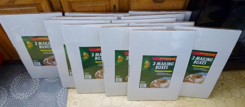 36 NEW DUCK BRAND MAILING  SHIPPING BOXES WHITE SELF LOCKING 13.5x9.5x4.5 INCHES