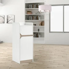 Salon Spa Storage Cabinet, Barber Hair Stylist Station with 1 Drawer & 1 Cabinet