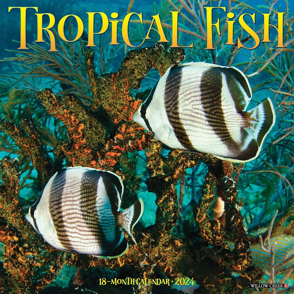 TROPICAL FISH - 2024 WALL CALENDAR - BRAND NEW - 35641