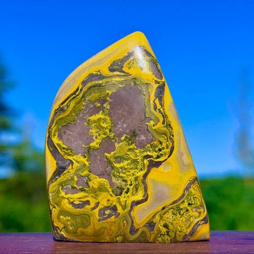 276G Natural Bumblebee Jasper Quartz Crystal Disply Freeform Reiki Stone Healing