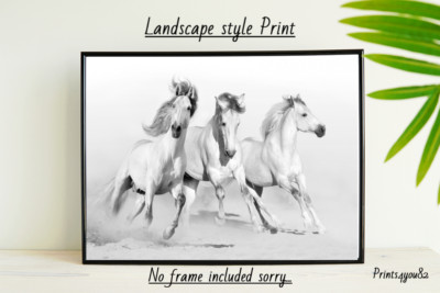 WEISSE PFERDE PFERDE A4 DRUCK POSTER BILD WANDBILD WOHNDEKO UNGERAHMT NEU