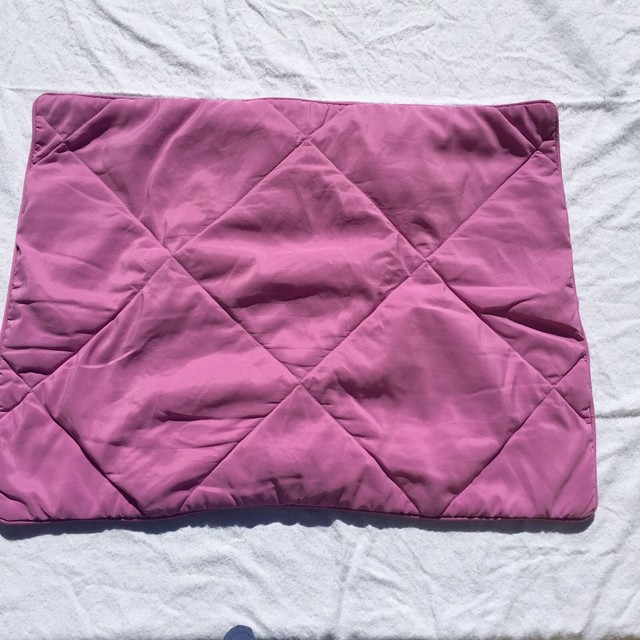 Purple Lavendar Standard Pillow Sham Pottery Barn Kids 20 X 26