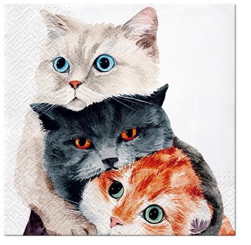 20 Servietten Better Together Lustiger Katzenstapel Haustiere Tiere Deko 33X33Cm-image