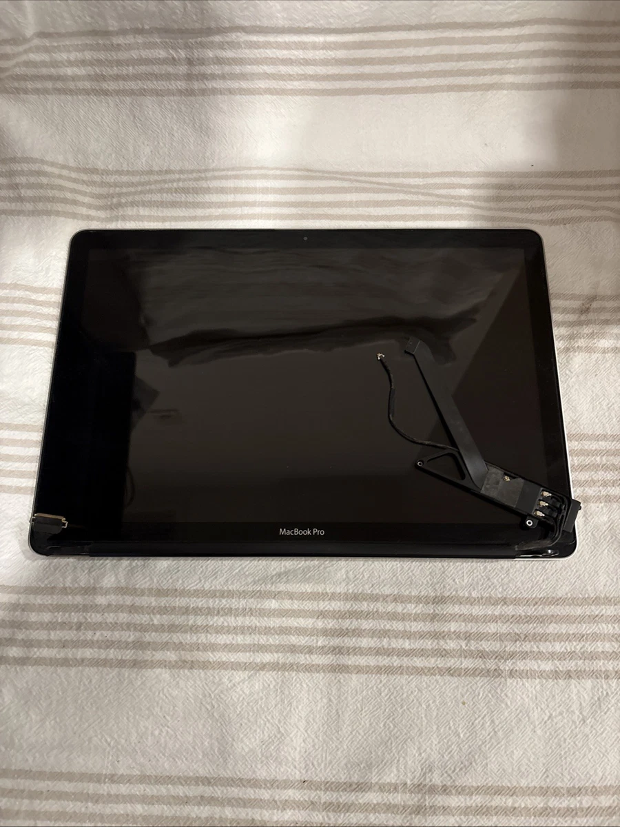 Macbook Pro 15 Screen for sale | eBay