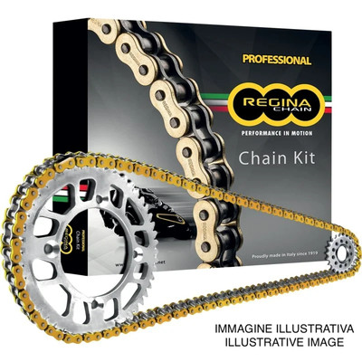 KIT TRASMISSIONE CORONA, CATENA, PIGNONE REGINA PER SUZUKI GS700 ES F USA 85