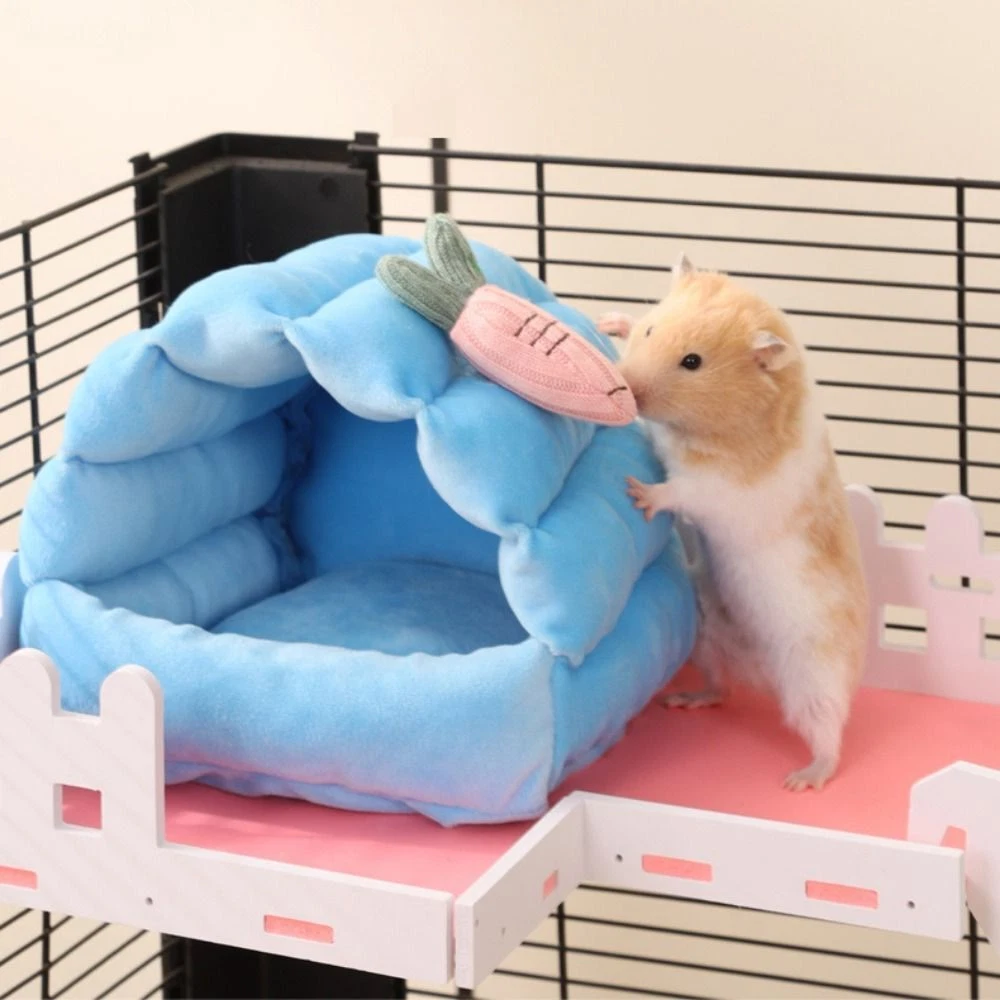 Hamster beds 2025