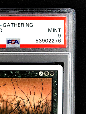 1994 MtG Magic the Gathering Revised Cursed Land Uncommon PSA 9