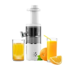 Joydeem Compact Masticating Juicer Machines, 400ml(14oz), JD-YZ9901