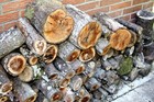 Bild 15 von 21