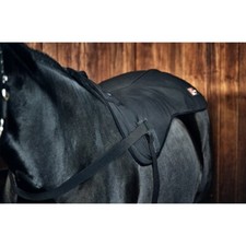 Catago Fir-Tech Pro Back Warmer / Heat Pad
